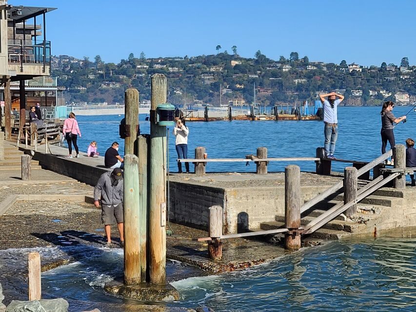 Muir Woods, Sausalito and Ferry back to Fisherman's Wharf - Price and Time: What $145 Buys You (and What It Doesn’t)