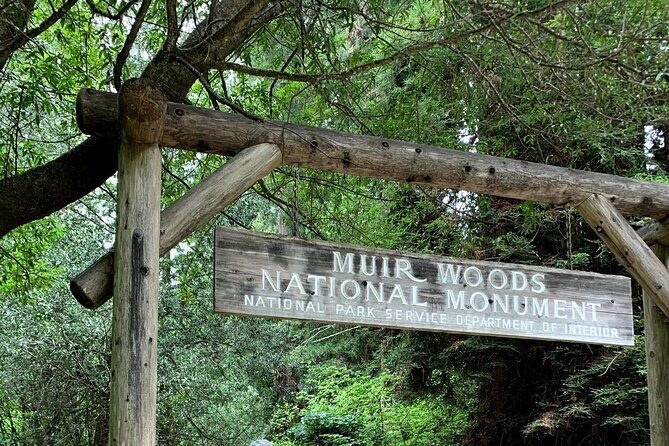 Muir Woods, Sausalito and Golden Gate Bridge - Key highlights to look for