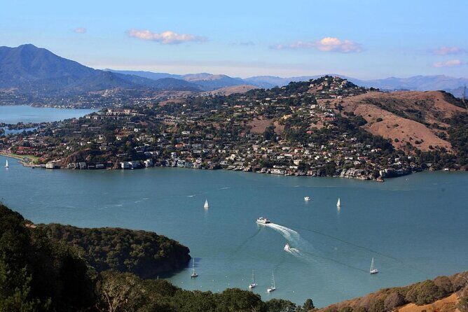 Muir Woods, Sausalito and Tiburon Day Trip from San Francisco - Tiburon: Waterfront Break With an Easy Angel Island Angle