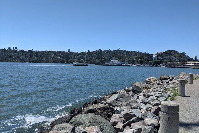 Muir Woods, Sausalito and Tiburon Day Trip from San Francisco - Sausalito: Lunch-Friendly Bay Town Energy in Ten Minutes
