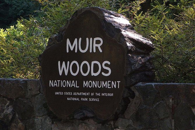 Muir Woods, Sausalito and Tiburon Day Trip from San Francisco - The Golden Gate Bridge Leg: Views, Then Movement