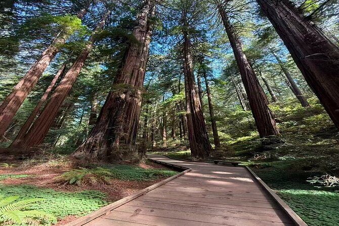 Muir Woods, Sausalito, Battery Spencer Premium Small-Group Tour - Key highlights at a glance
