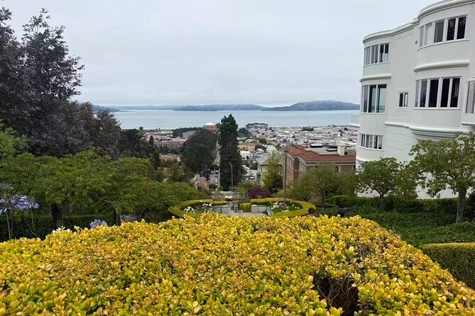 Muir Woods, Sausalito, Battery Spencer Premium Small-Group Tour - Sausalito with your own time: waterfront cafés, boutiques, and bay views