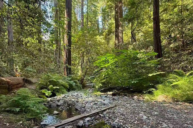 Muir Woods, Sausalito, Battery Spencer Premium Small-Group Tour - Price and value: why $89 makes sense for a first full-day trio