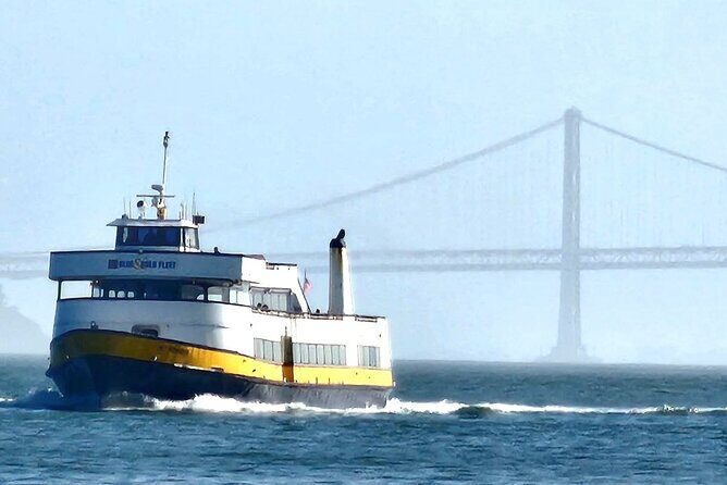 Muir Woods Sausalito Entry & Ferry to Fishermans Wharf included - Key points at a glance