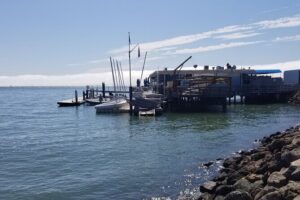 Muir Woods Sausalito Entry & Ferry to Fishermans Wharf included - Northern-side Golden Gate Bridge stop: fast, scenic, and made for photos
