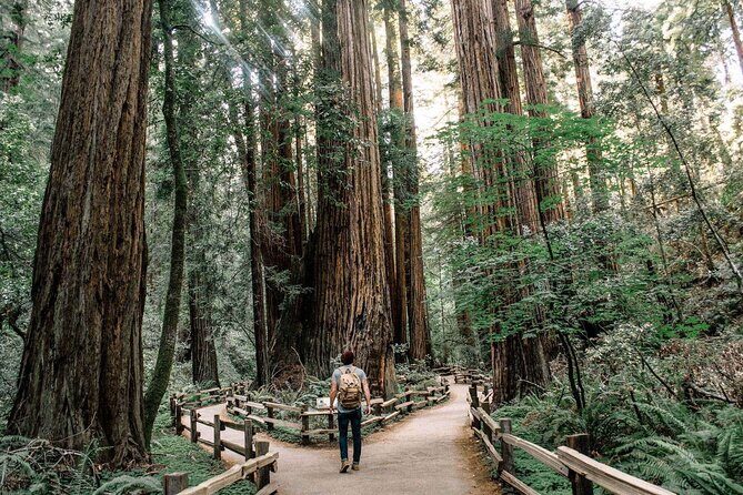 Muir Woods & Sausalito: Small Group Experience - Key Things That Make This Tour Work