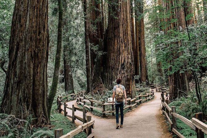 Muir Woods & Sausalito: Small Group Experience - A 4-Hour Plan That Keeps the Day Relaxed