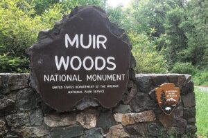 Muir Woods & Sausalito: Small Group Experience - From Fisherman’s Wharf to Muir Woods: Comfort Starts Immediately