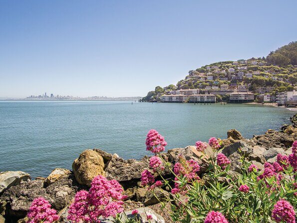 Muir Woods & Sausalito Tour - Crossing the Golden Gate Bridge by Bus: Views Without the Parking Hassle
