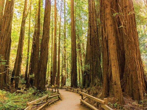 Muir Woods & Sausalito Tour - Sausalito Time: Short Stop, Lots of Atmosphere