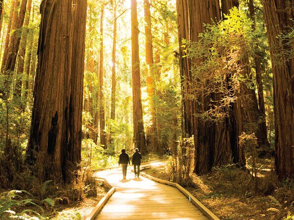 Muir Woods & Sausalito Tour - Ferry Return Flexibility: Extending the Day Without Re-Riding the Bus