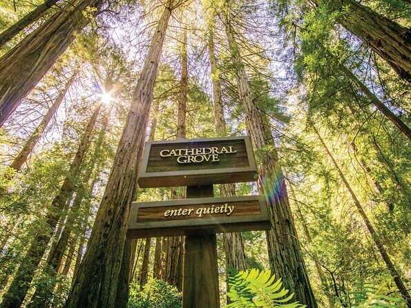 Muir Woods & Sausalito Tour - The Guide and Driver Factor: Why Names Matter