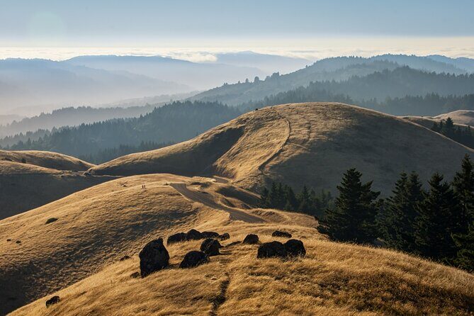 Muir Woods Self-Guided Driving and Walking Audio Tour - Panoramic Highway stop: views and an easy breather