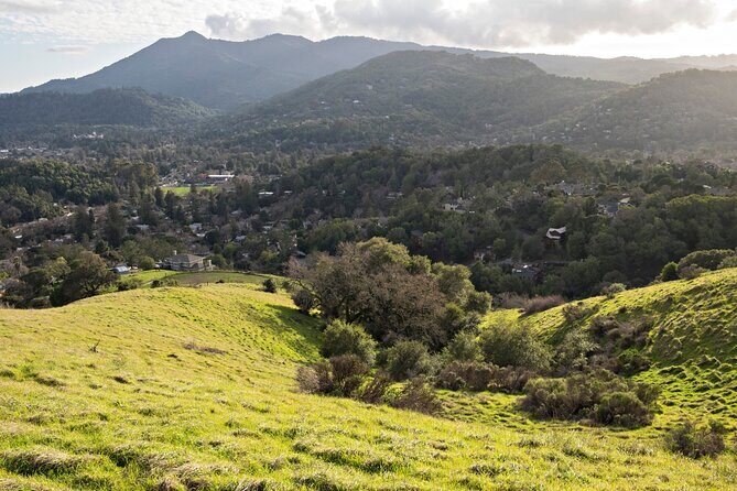 Muir Woods Self-Guided Driving and Walking Audio Tour - The wooden archway and the Visitor Center finish
