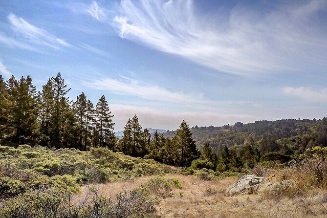 Muir Woods Self-Guided Driving and Walking Audio Tour - Price value: $16.99 per group can be a smart deal