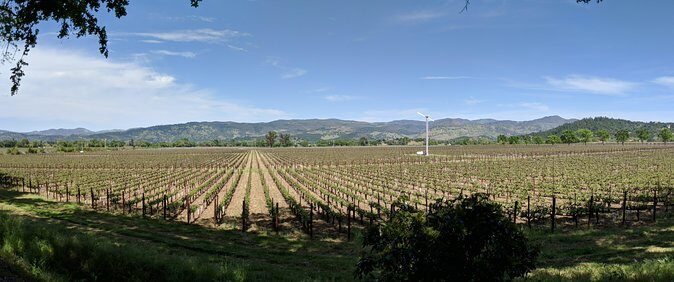 Napa and Sonoma Valley Wine 6 hour Tour from San Francisco - Sonoma County: boutique pours and a story-filled plaza stop