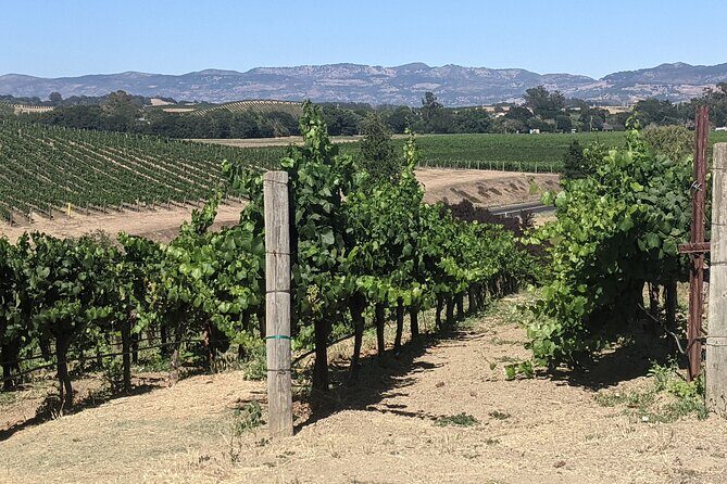 Napa and Sonoma Valley Wine 6 hour Tour from San Francisco - Golden Gate Bridge photos, timed to your route