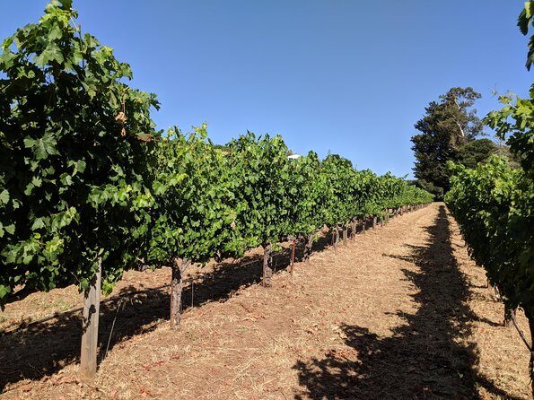 Napa and Sonoma Valley Wine 6 hour Tour from San Francisco - What’s included (and what you’ll pay for separately)