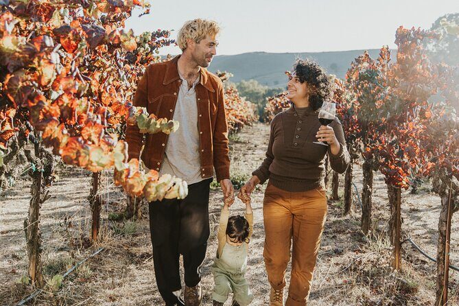 Napa and Sonoma Wine Tour from San Francisco - Napa Valley winery: a boutique tasting designed for one hour