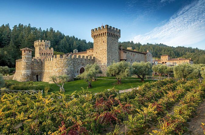 Napa Valley Wine and Food Tasting Tour from San Francisco - Wine Tastings That Don’t Pretend You’re an Expert