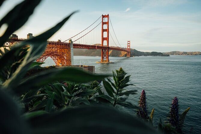 Official Alcatraz Island Prison Tour with Free App Audio Packages - Meeting at 571 Post St: Timing, Tickets, and How Not to Stress