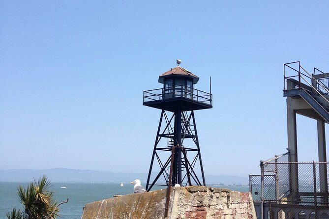Official Alcatraz Tour Ticket with Ferry Rides From Pier 33 - Island Time After the Cell House: Views, Paths, and Your Pace