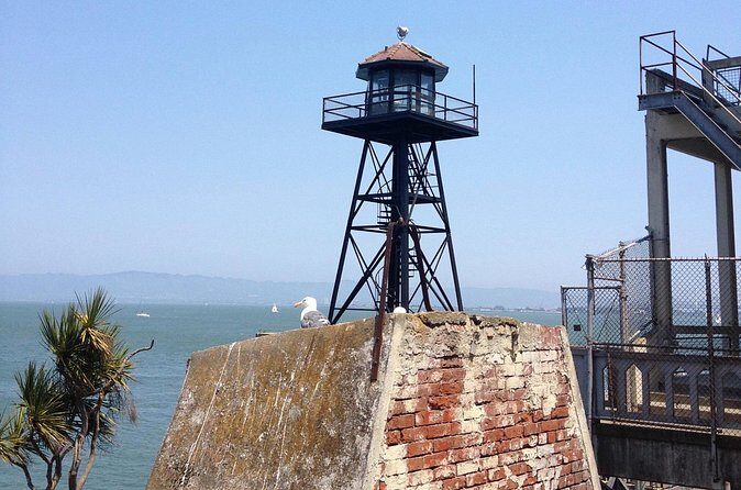 Official Alcatraz Tour with Golden Gate Bridge Bay Cruise - On-island movement: cell blocks, shuttle option, and staying comfortable