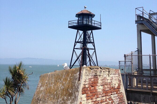 Official Alcatraz Tour with Golden Gate Bridge Bay Cruise - Accessibility and getting around: what you should know