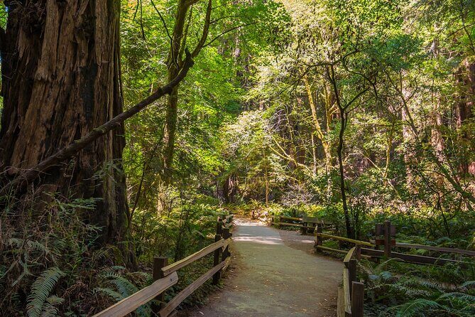 One Day in San Francisco: Alcatraz, Muir Woods, and SF City Tour - How the day flows: North Beach meets Pier 33