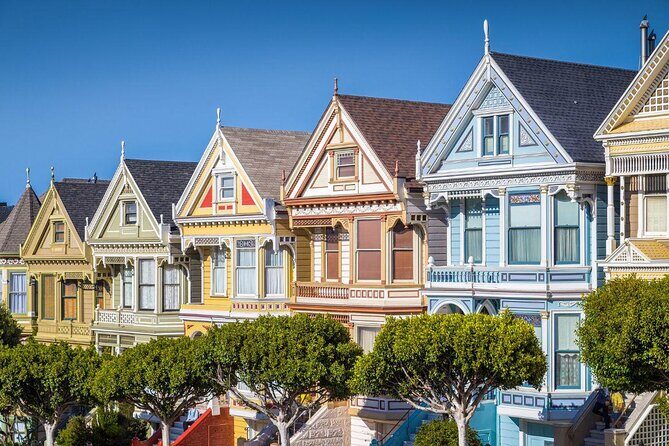 Painted Ladies Wine Country Tour - Why This Painted Ladies VW Tour Feels Different Than a Standard Wine Trip