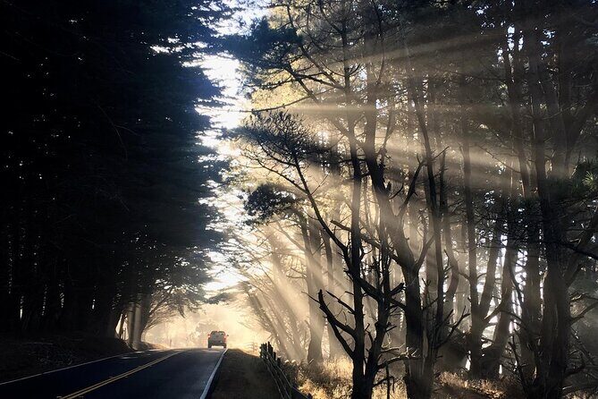 Picture your best SF tour ever! (Epic Bay Area photo adventures) - Mount Tamalpais and the Golden Gate National Recreation Area: Views With Choice