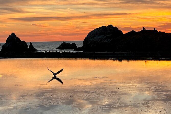 Picture your best SF tour ever! (Epic Bay Area photo adventures) - Ring Mountain Open Space Preserve: Real Hills, Real Reward