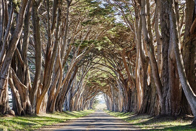 Point Reyes National Seashore Self Guided Driving Audio Tour - Stop 0: Welcome and the route math you should plan for
