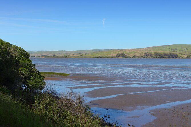 Point Reyes National Seashore Self Guided Driving Audio Tour - Stop 1: Tomales Point detour for big beach views