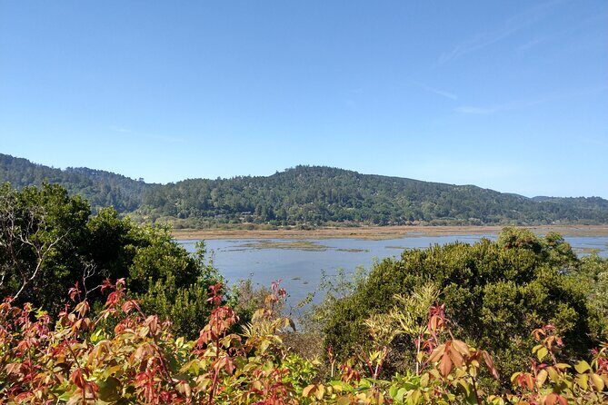 Point Reyes National Seashore Self Guided Driving Audio Tour - Stop 7: Chimney Rock Trail Head and the quick detour idea