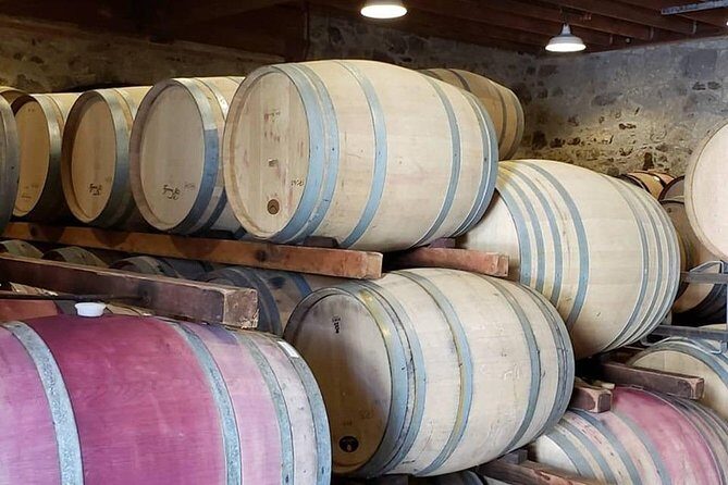 Private Full-Day Napa Wine Tour in a Luxury Vehicle - The real winners: drivers who adjust, communicate, and keep the day on track