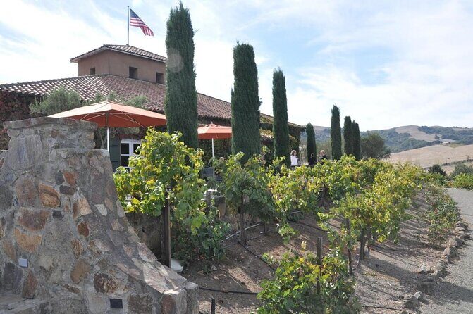 Private Group Wine Tour of Napa and Sonoma - Key highlights worth planning around
