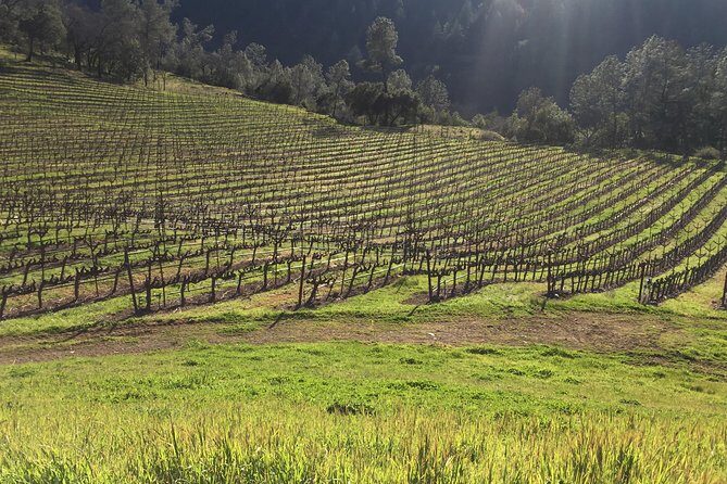 Private Group Wine Tour of Napa and Sonoma - Where the Day Begins: Golden Gate Bridge Photo Time