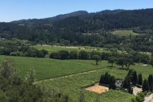 Private Group Wine Tour of Napa and Sonoma - Sonoma Stop 1: Viansa Sonoma’s Tuscan Look (or Jacuzzi Nearby)