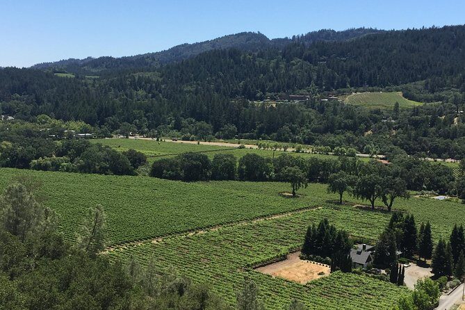 Private Group Wine Tour of Napa and Sonoma - Sonoma Stop 1: Viansa Sonoma’s Tuscan Look (or Jacuzzi Nearby)