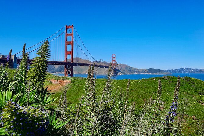 Private Guided Tour in San Francisco - Price and logistics: does $435 per group make sense?