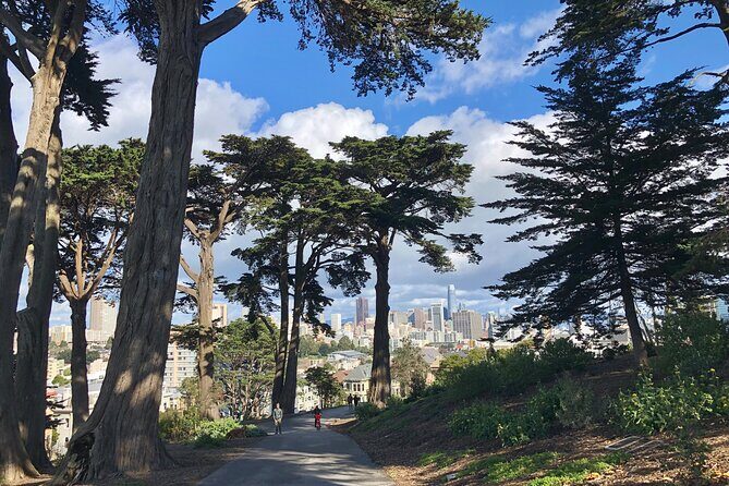 Private Guided Tour in San Francisco - Who this tour fits best (and who should think twice)