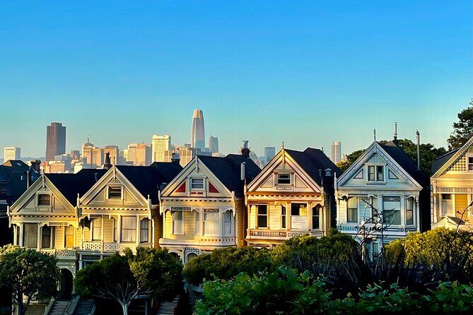Private Guided Tour in San Francisco - Alamo Square and the Painted Ladies: the photo stop that also teaches context
