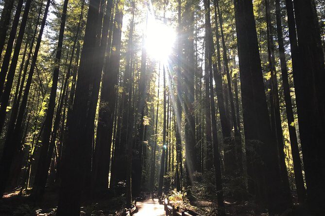 Private Muir Woods and Sausalito Half Day Tour - When This Tour Makes the Most Sense