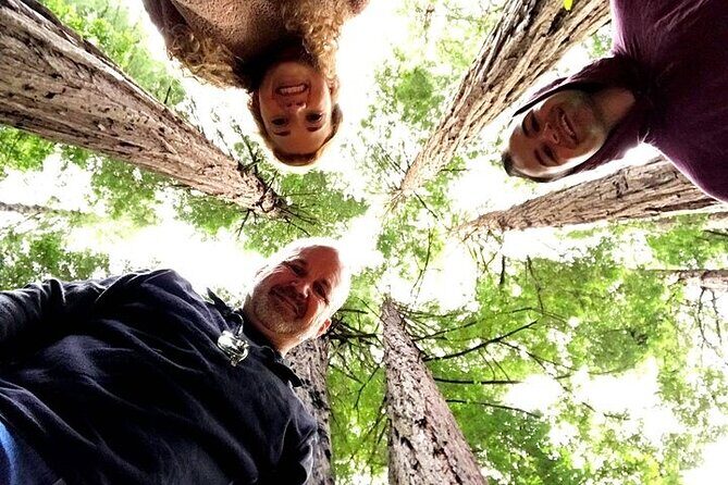 Private Muir Woods Tour + Golden Gate Bridge Stops (3 Hrs, Max 6) - Muir Woods National Monument: self-guided redwoods without the headache