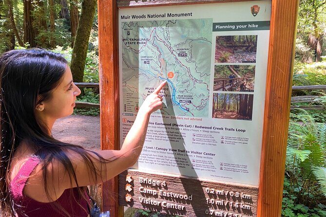 Private Muir Woods Tour + Golden Gate Bridge Stops (3 Hrs, Max 6) - Muir Beach or the overlook: a quick Pacific moment