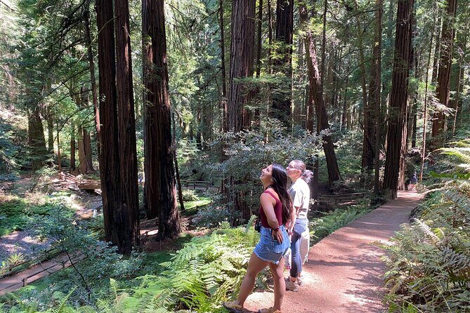 Private Muir Woods Tour + Golden Gate Bridge Stops (3 Hrs, Max 6) - Getting back from Sausalito: ferry independence or Jeep convenience