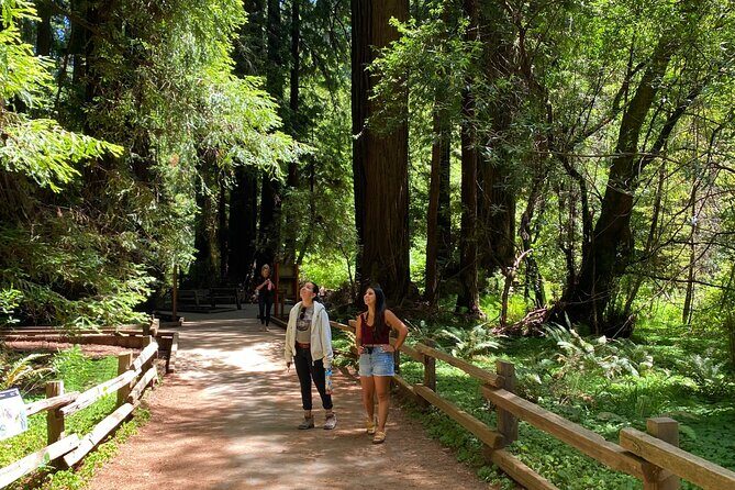 Private Muir Woods Tour + Golden Gate Bridge Stops (3 Hrs, Max 6) - Price and value: what $203 per person really buys