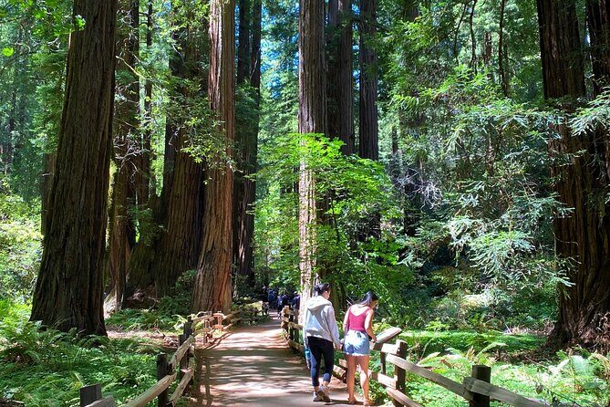 Private Muir Woods Tour + Golden Gate Bridge Stops (3 Hrs, Max 6) - From Fisherman’s Wharf to the Presidio: the warm-up you don’t want to miss